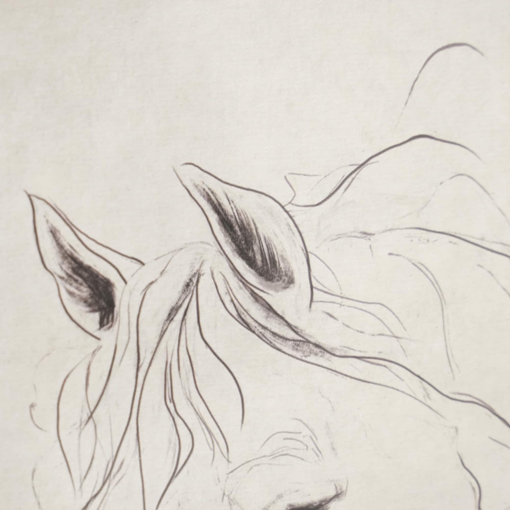12" x 16" Horse Sketch Wall Art by Ashland®